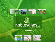 Tablet Screenshot of kadianakis.gr